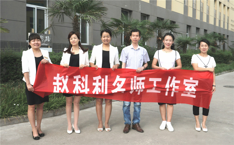 工作室5名教师获2016年陕西省教学能手称号